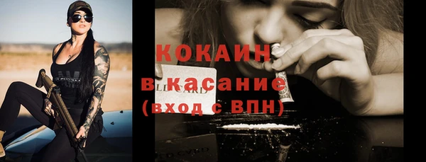 твердый Абаза