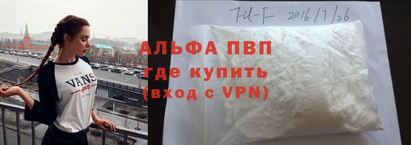 твердый Абаза