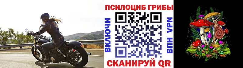 Галлюциногенные грибы мицелий  MEGA   Усмань 